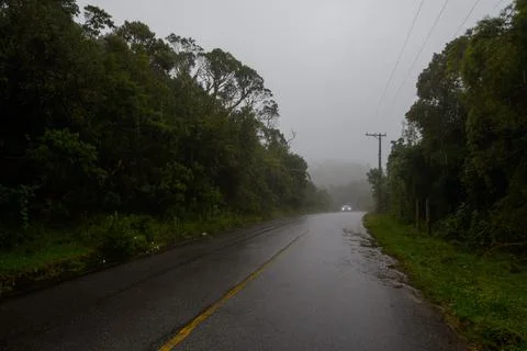 Road surrounded by trees showing the central strip Stock Photos