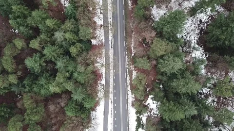 Road surrounded by trees in wintertime Stock Footage 83460894