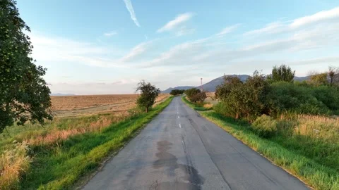 Road surrounded by wheat fields and trees, in the background a hill Stock Footage 280982283
