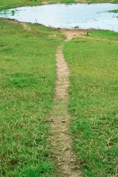 Road in the swamp Stock Photos