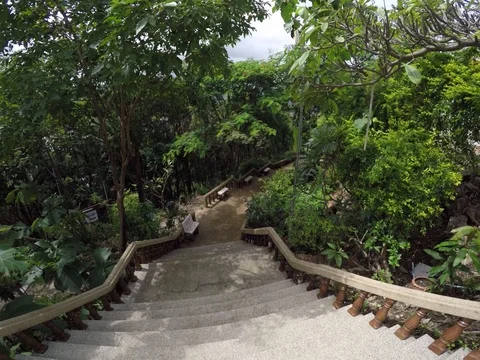 The road from the temple Buddhas Stock Footage 72533740