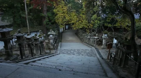 Road to the temple Stock Footage 46179963