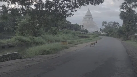 A road with a temple Stock Footage 82313296