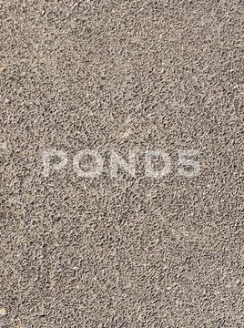 Road texture close view, asphalt ground pattern ~ Premium Photo #166364474