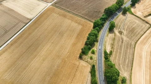Road through agricultural fields Stock Footage 340147942