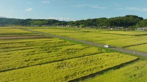 Road Through Agricultural Rice Fields Near Fukushima City, Rural Town In Japan Stock Footage 337052076