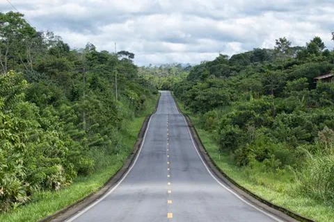 Road through the Amazon Stock Photos