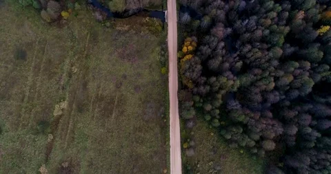 Road through the autumn fores Stock-Footage 97156169