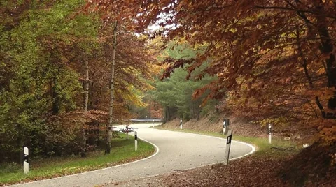 A road through the autumn forest Stock Footage 44809200