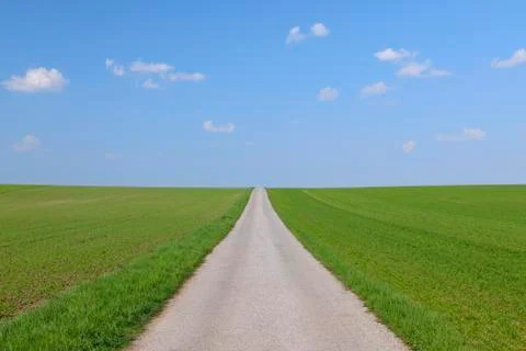 Road through a cereal grain field on a sunny day in spring in Burgenland, Stock Photos