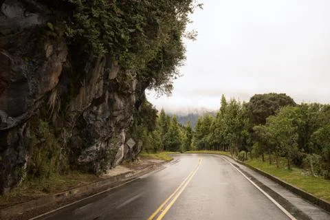 Road through colombian cloudforest Stock Photos