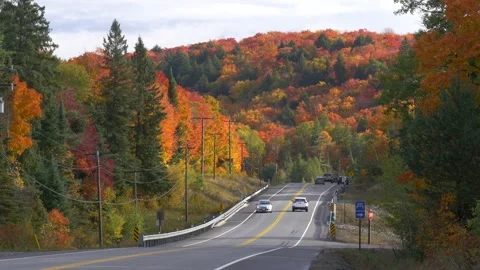 Road through colorful forest during fall season in Canada Stock Footage 159203965