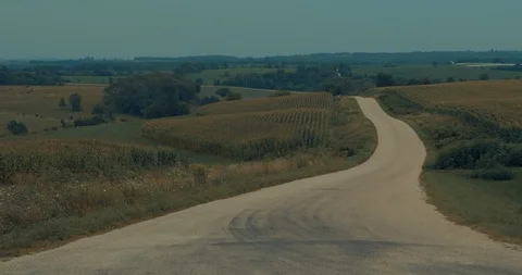Road Through Cornfield Stock Footage 93900057