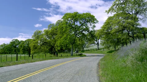Road through the Country Side Stock Footage 150688019