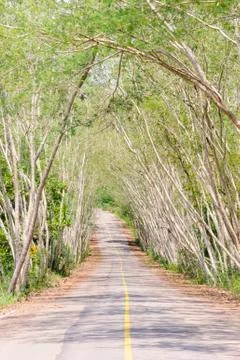 The road through the countryside. Stock Photos