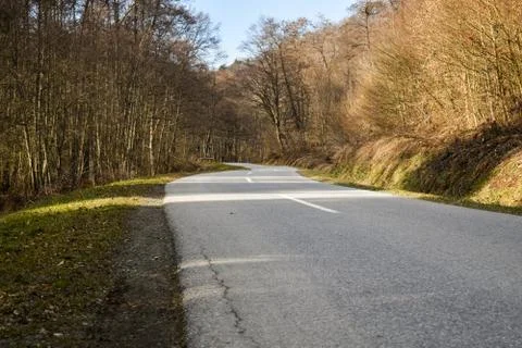 Road through deciduous forest during winter sunny day Stock Photos