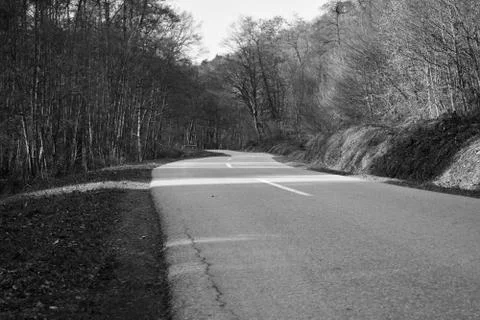 Road through deciduous forest during winter sunny day. Black and white. Foto stock