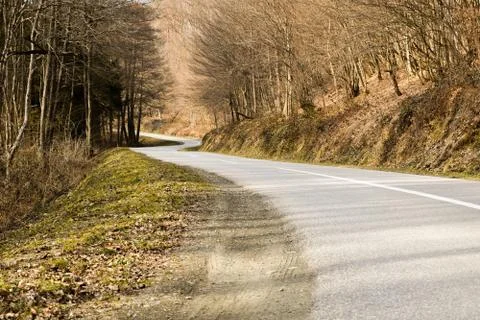 Road through deciduous forest during winter sunny day. Stock Photos