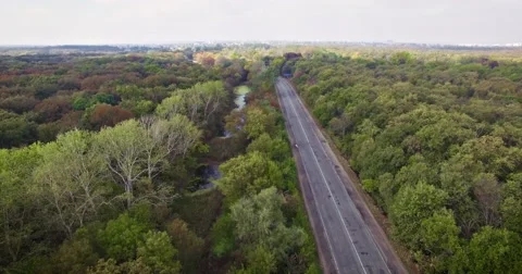 The road through the deciduous forest Video stock 68431130