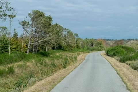 On the road through Denmark Stock Photos