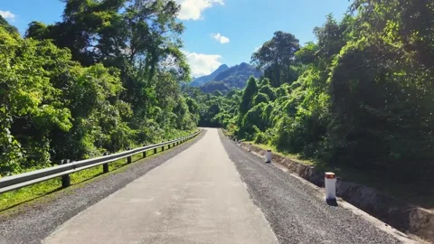 Road through dense green forest outside Phong Nha in Vietnam in 4K Stock Footage 319970560