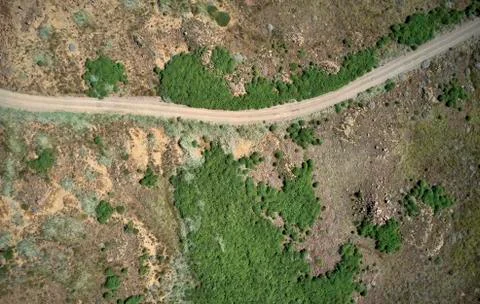 Road through a dry landscape Stock Photos