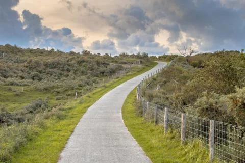 Road through dunes Stock Photos