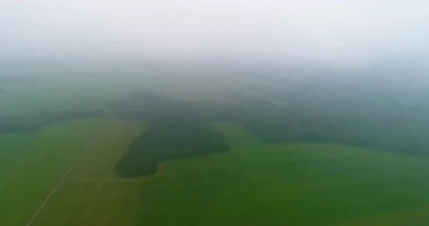 Road through the field, forest Stock Footage 140740883