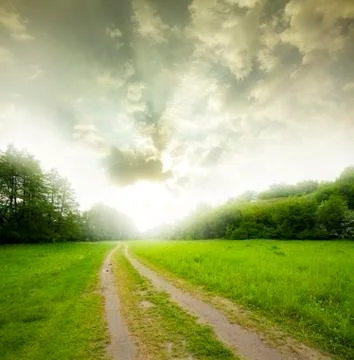 Road through the field Stock Photos
