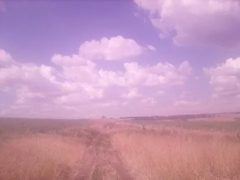 Road through the field Foto stock