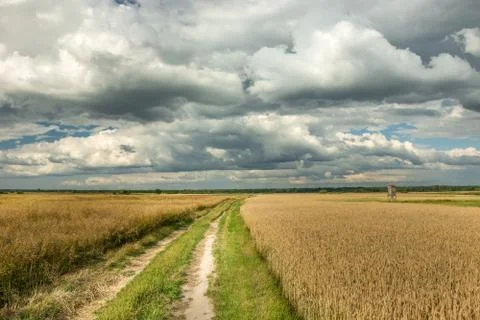 Road through fields and clouds Stock Photos