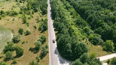Road through fields and forest Stock Footage 158480796