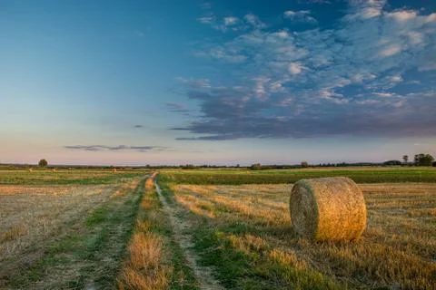 Road through fields and hay Stock Photos