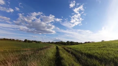 Road Through The Fields Stockbeeldmateriaal 196703531