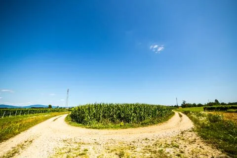 Road through the fields Stock Photos