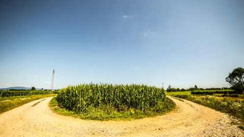Road through the fields Stock Photos