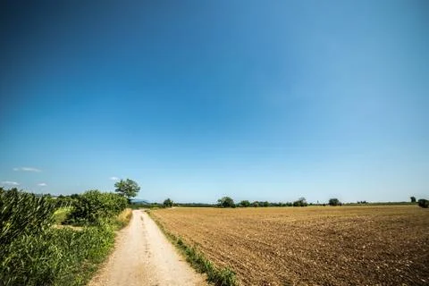 Road through the fields Stock Photos