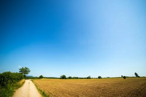 Road through the fields Stock Photos
