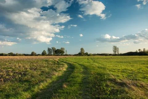 Road through fields, trees on the horizon and clouds in the sky Stock-Fotos