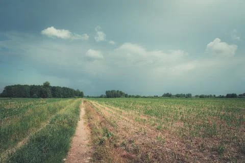 Road through fields, view on a grey, cloudy day, Lubelskie Province, Poland Stock Photos