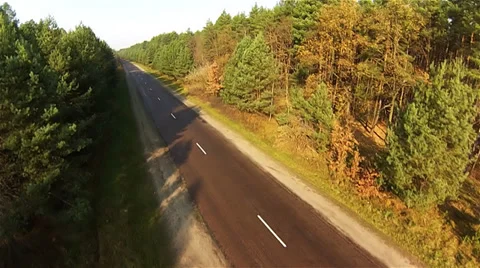 Road through the forest 1 Stock-Footage 37117964