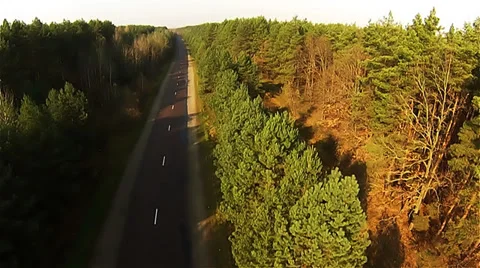 Road through the forest 2 Video stock 37117976