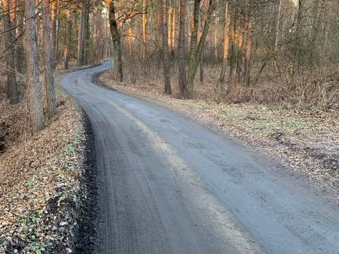 Road through the forest against the backdrop of tall trees. The path to the v Stock Photos