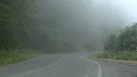 Road through a Forest along Highway 101 in Oregon 스톡 동영상 327887281