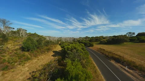 Road through the forest in Australia. Video from the FPV drone. Stock Footage 240370544