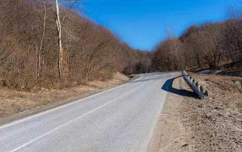 Road through the forest in early spring Stock Photos