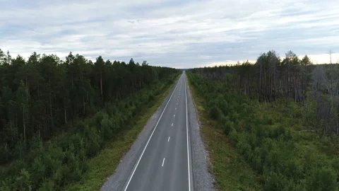 Road through the forest Stock Footage 86789985