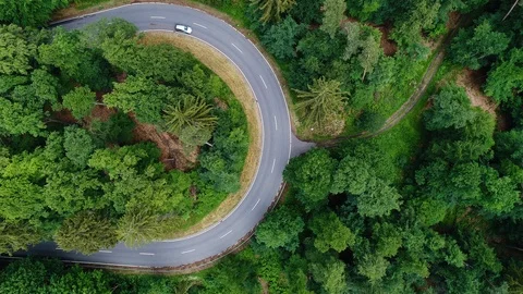 Road through the forest Stock-Footage 90563647
