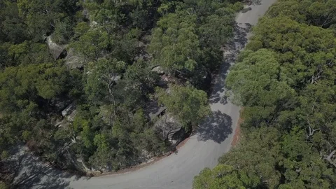 Road through forest Stock-Footage 104630006