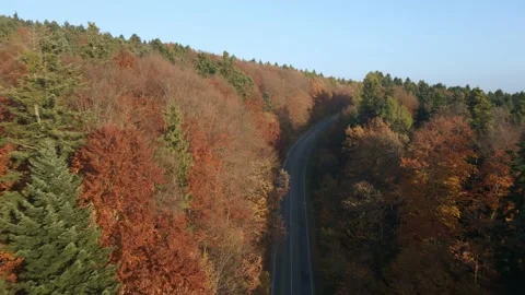 The Road through a forest Stock Footage 165158183